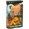 Professor Puzzle: Escape from the Lost Temple - Archeological Themed Escape Room Board Game, 12 Logic & Number Puzzles To Solve, Ages 12+, 1+ Players